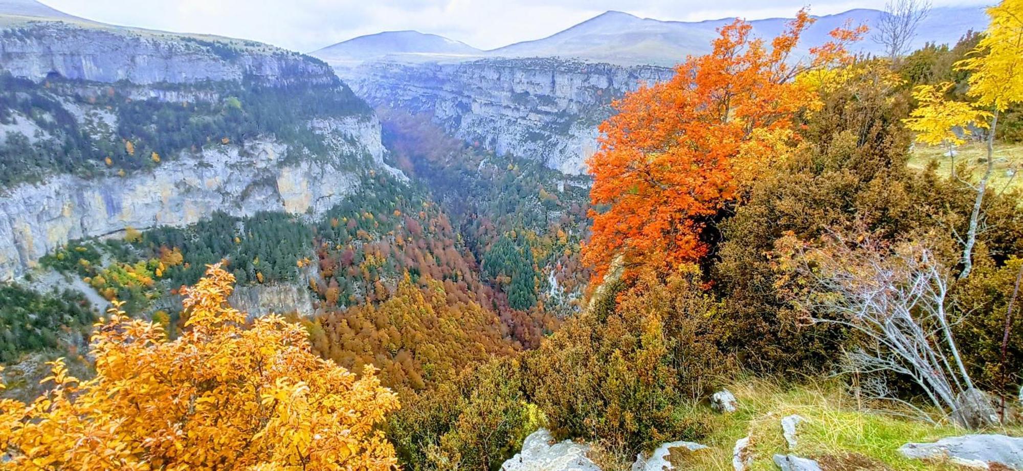 Casa Pirinea Ordesa Konuk evi Belsierre Dış mekan fotoğraf