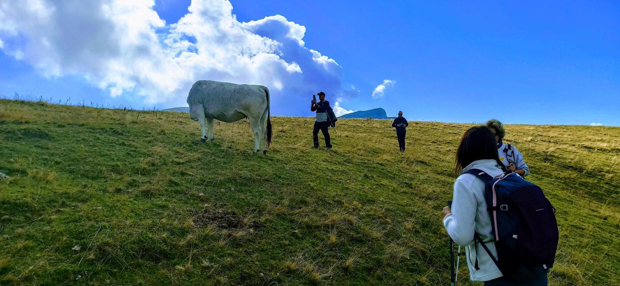 Casa Pirinea Ordesa Konuk evi Belsierre Dış mekan fotoğraf