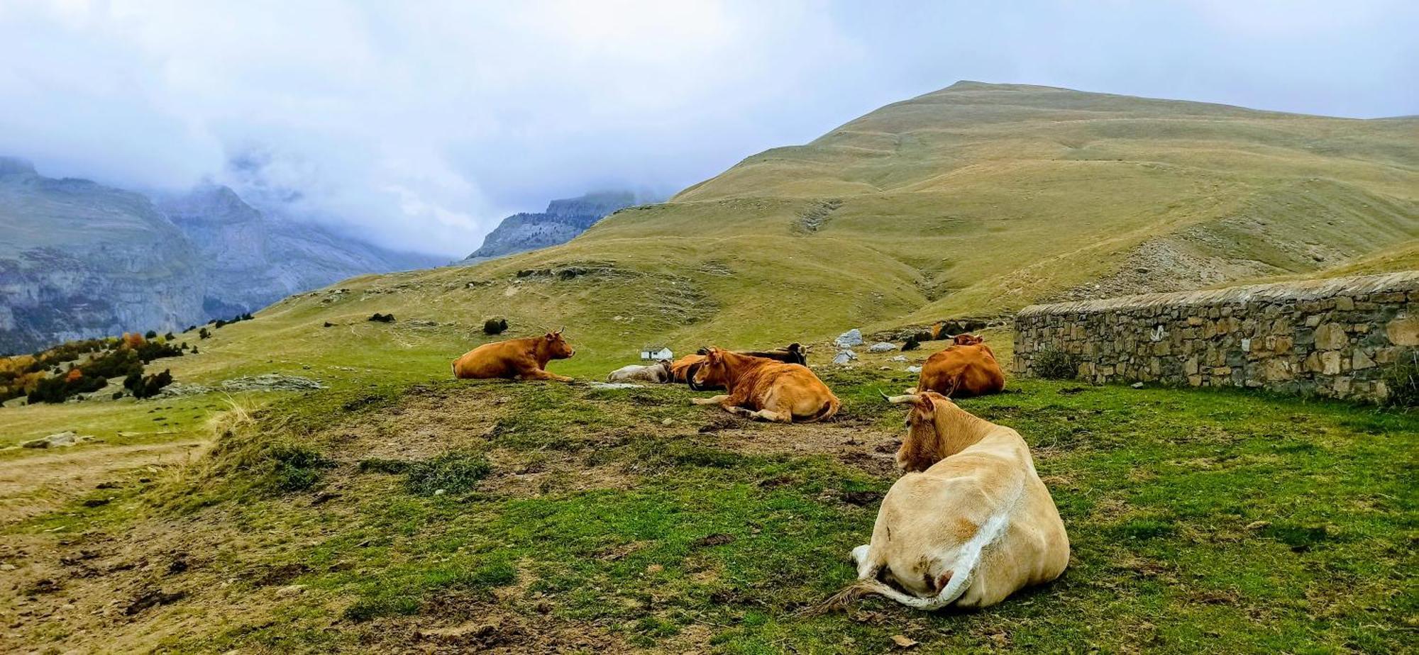 Casa Pirinea Ordesa Konuk evi Belsierre Dış mekan fotoğraf
