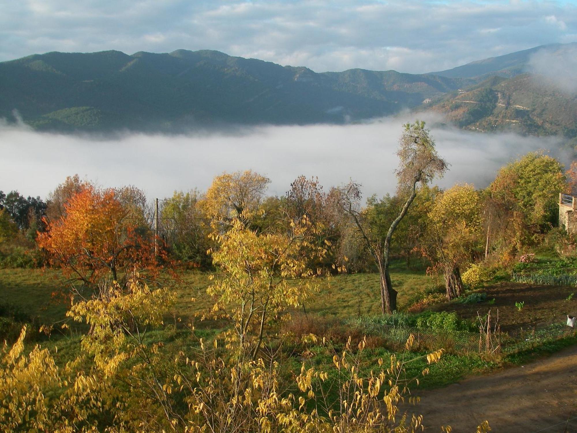 Casa Pirinea Ordesa Konuk evi Belsierre Dış mekan fotoğraf