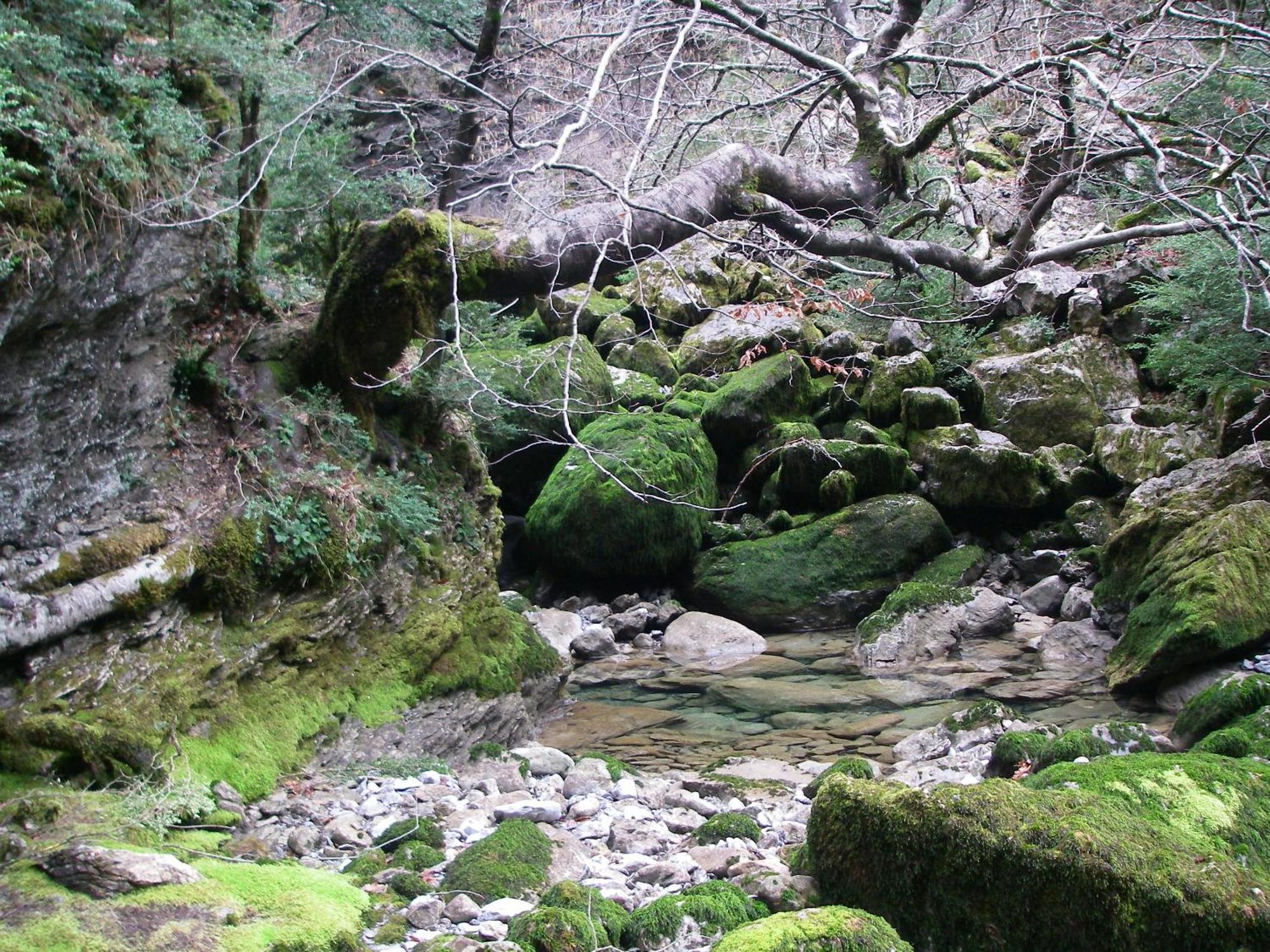 Casa Pirinea Ordesa Konuk evi Belsierre Dış mekan fotoğraf